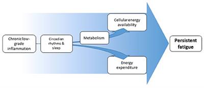 The High Costs of Low-Grade Inflammation: Persistent Fatigue as a Consequence of Reduced Cellular-Energy Availability and Non-adaptive Energy Expenditure